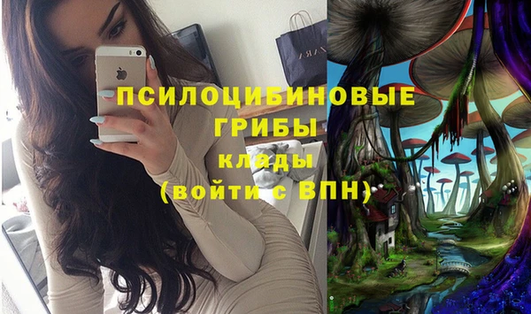 герыч Абаза