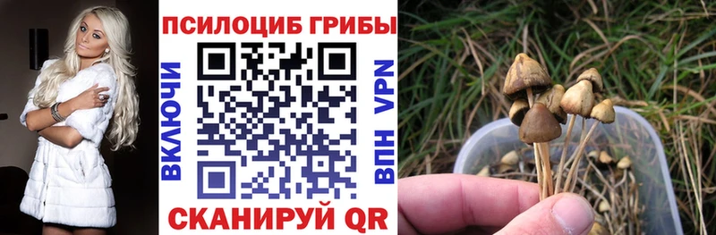 ОМГ ОМГ tor  где купить наркоту  Брюховецкая  Псилоцибиновые грибы Psilocybe 